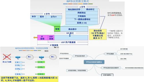 網(wǎng)絡(luò)層 計(jì)算機(jī)網(wǎng)絡(luò)平臺(tái)開發(fā)與建設(shè)的核心基石